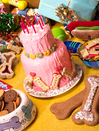 Birthday parties for a pet!